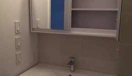 dt出租condo 近康大 麦大