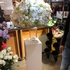 花店招聘花艺师兼助理/销售员