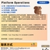【168中介内推】列治文山传媒公司请Platform Operations 1名