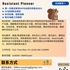 【168中介内推】北约克室内设计公司请Assistant Planner 1名