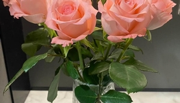 居家鲜花饰品设计