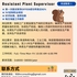 【168中介内推】布兰普顿包装公司请Assistant Plant Supervisor 1名