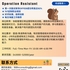 【168中介内推】布兰普顿物流公司请Operation Assistant 1名