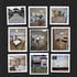 Panorama Hills 合法Walk-out Basement 两房一厨一厅一卫出租$170 ...