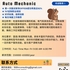 【168中介内推】多伦多车行请Auto Mechanic 1名