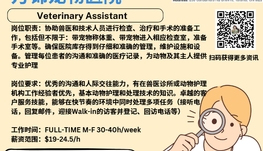 【168新岗】万锦宠物医院请Veterinary Assistant 1名（可移民）