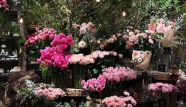 花店招聘