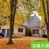 Oakville4+1精致独立屋出租，距离湖畔和Appleby College仅几步之遥！悟空REMAX双省地产【安省】