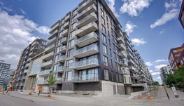 Griffintown大一卧一卫5月1日入住月租1850