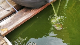 Angrinon地铁旁带独立卫浴衣帽间4月1日起分租