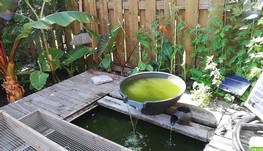 Angrinon地铁旁带独立卫浴衣帽间4月1日起分租