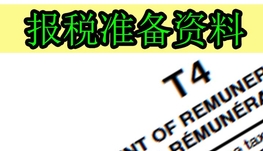 专业会计 CPA报税