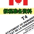 专业会计 CPA报税