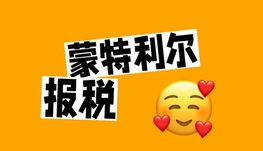 专业会计 CPA报税