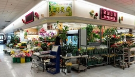 招聘绿植养殖师