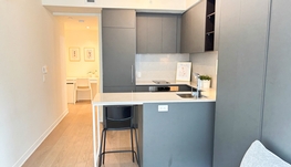 市中心高级楼盘studio$1350即刻入住