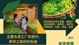 茶叶包装工（在家兼职）