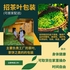 茶叶包装工（在家兼职）