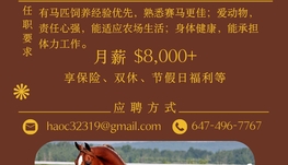 招聘岗位：赛级马饲养维护员（农场）