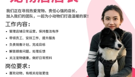 汪星宠物招聘店长