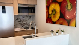 Griffintown 429平方尺STUDIO 五月份拎包入住，可短租