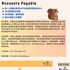 【168中介内推】密西沙加建筑公司请 Accounts Payable 1名