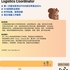 【168中介内推】Markham进出口企业诚聘Logistics Coordinator