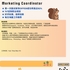【168中介内推】North York知名连锁餐厅品牌诚聘Digital Marketing coordinator