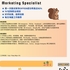 【168中介内推】North York跨境电商公司诚聘Marketing Specialist