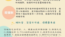 8月布偶猫找家合集 - TICA世界猫协会注册猫舍，北美蓝双海双布偶猫舍，专注繁育