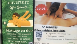Professonal Wellness &amp; Reflection Service
