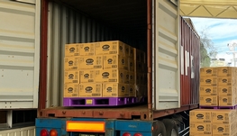 魁北克城滑铁卢回国行李旧衣服集运1.99刀/磅最低价起一公斤顺丰到位  空5.6/磅 3天到中国 包清关 运输安全顺丰线路 包免费上门取件 送顺丰到位全球上网卡 192个国家免费上网 转机不用愁  门到门 加拿大旧衣服回国行李5.6/磅  空运顺丰直飞中国包清关  物品安全关  物品安全