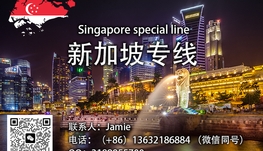 中国个人物品海运至新加坡，双清到门