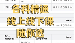 留学生各科线上线下辅导