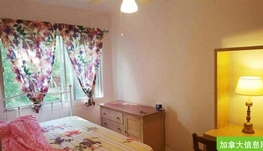 angrignon，步行3分鐘，二樓合租，歡迎愛貓認人士，550$，水電暖網全包