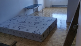 唐人街有房出租单房900$全包地