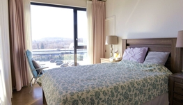 5分钟至绿线Prefontaine站，近市中心四个半豪华公寓招租，6月底入住