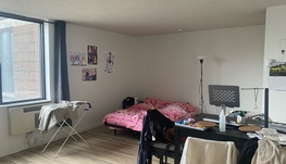 麦大附近studio转租