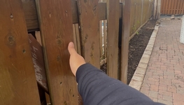 砍树+庭院deck和fence维修新建