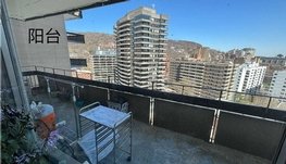 近康大 两房两卫大近康大4个半大公寓七月起转租，可短租