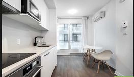 近康大三个半精装公寓5月1日起长租