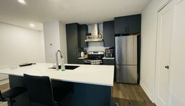 蒙特利尔东全新高级4个半出租