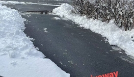 南岸家庭旅馆，短租，长租