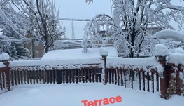 南岸家庭旅馆，短租，长租