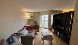 蒙特利尔市中心靠近康大麦吉儿小三半出租