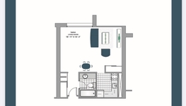 麦大附近Lacite studio八月转租