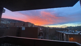 无敌便利➕出门左转即大公园 近McGill三个半出租