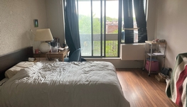 无敌便利➕出门左转即大公园 近McGill三个半出租