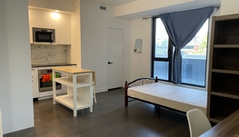 高档studio，陪简单家具，绿