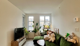 BoisFranc一年新两室一卫